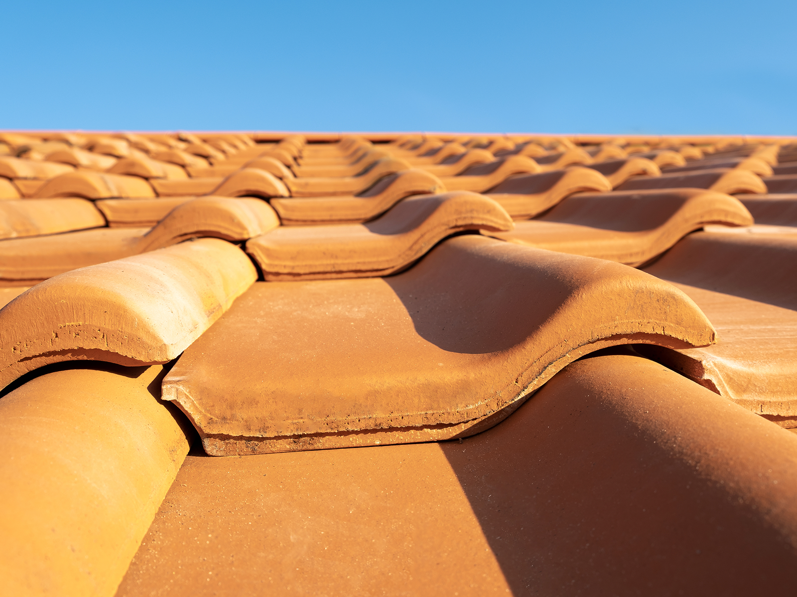 Roof Repairs and Leak Detection